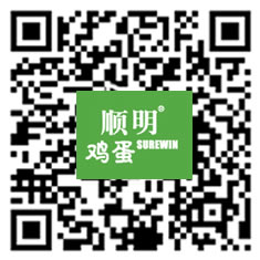 在线订购